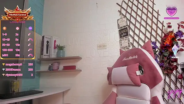 SALOME_KORLAND webcam