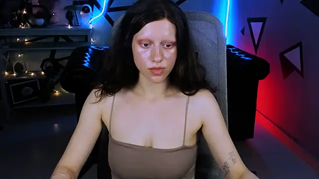 LidaDarknet webcam