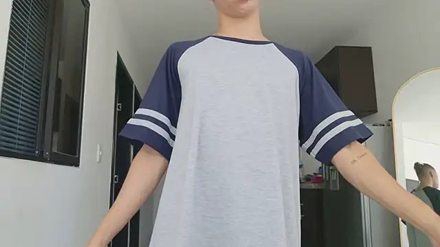 grey___27 webcam