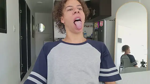 grey___27 webcam
