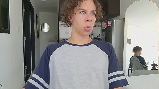grey___27 webcam