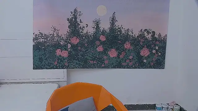 paofu-001 webcam