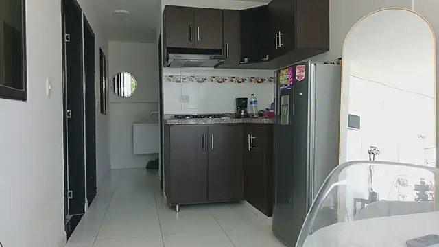 grey___27 webcam