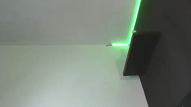 SusanLeroy webcam