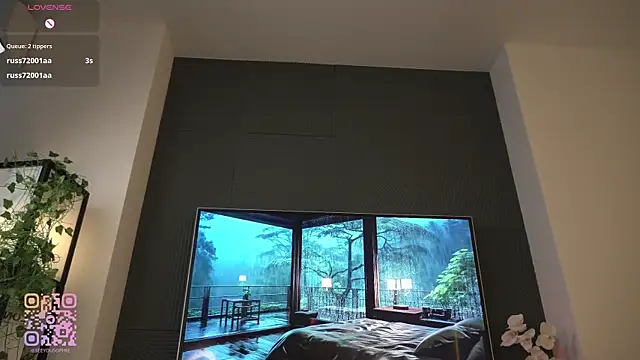 FlairEdgin webcam