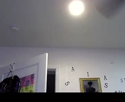 TheRealMrDLlong webcam