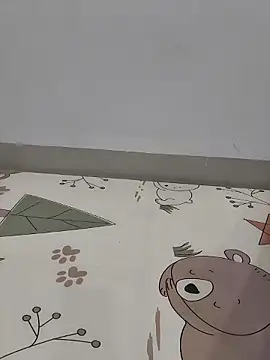 ShadowDesi webcam