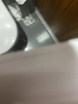 Hiddenleon webcam