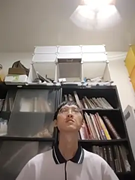 Lv8763 webcam