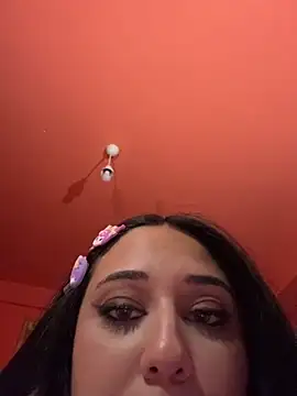 ICEGLOSS webcam