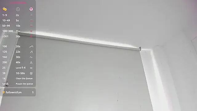 artmiaa webcam