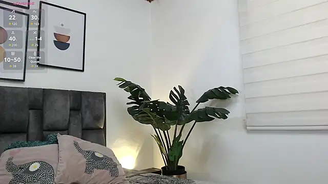 samy_l webcam