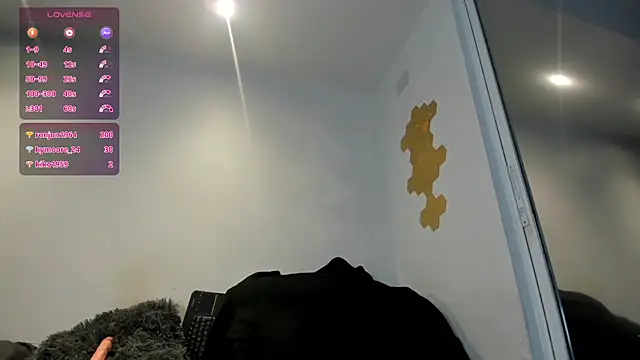 rayfit_90 webcam