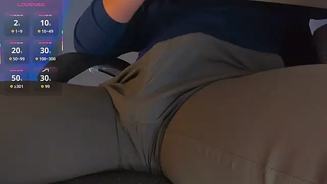 BulgeArt webcam