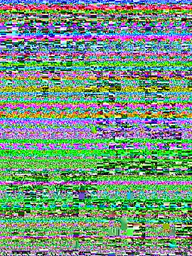 Sallem_Pink webcam