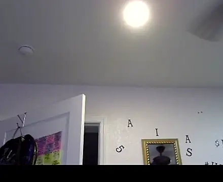 TheRealMrDLlong webcam