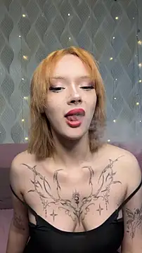 meli_sun webcam