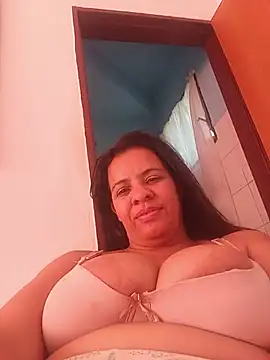 lapatronav2026 webcam