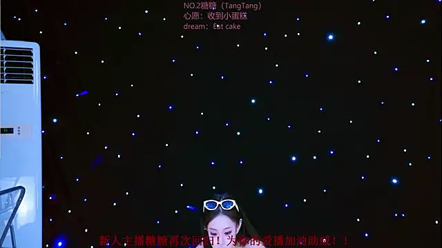 CCTW-100 webcam
