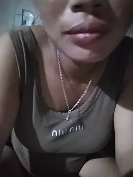 _Lynk_ webcam