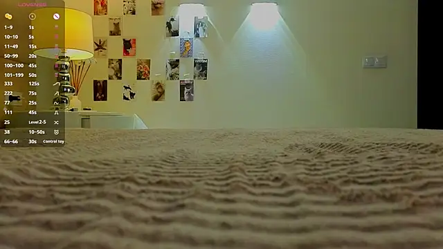 essyle webcam