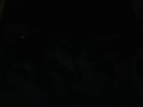 Lhovely webcam