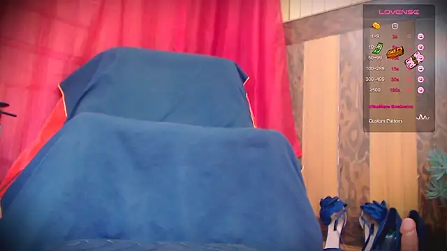 Live_View webcam