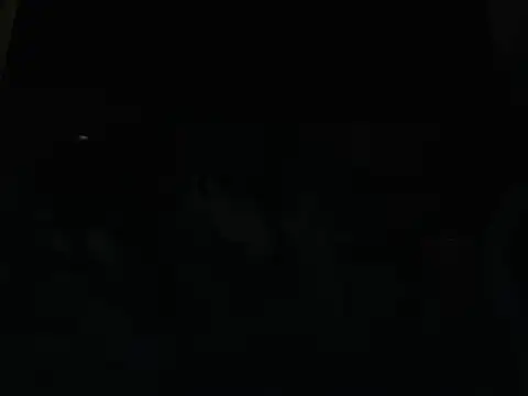 Lhovely webcam