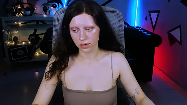 LidaDarknet webcam