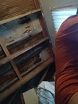 Dalton2288 webcam