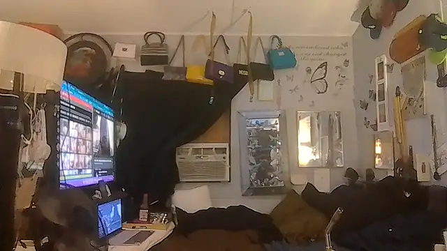 ShysluutGia webcam
