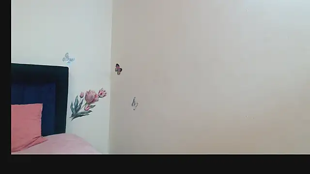 ANDRYXS100 webcam