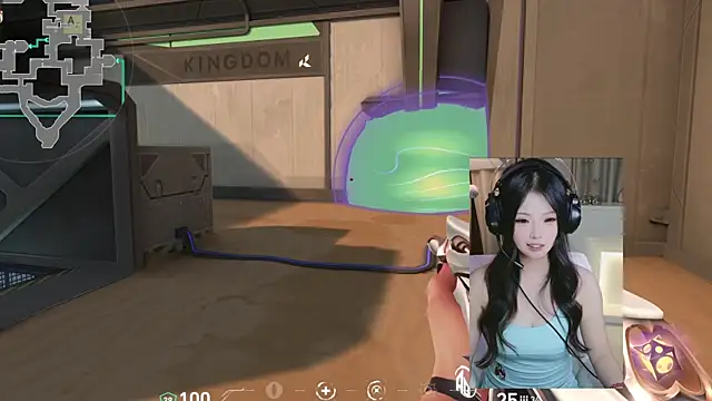 DAIDAI-520 webcam