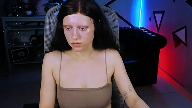 LidaDarknet webcam