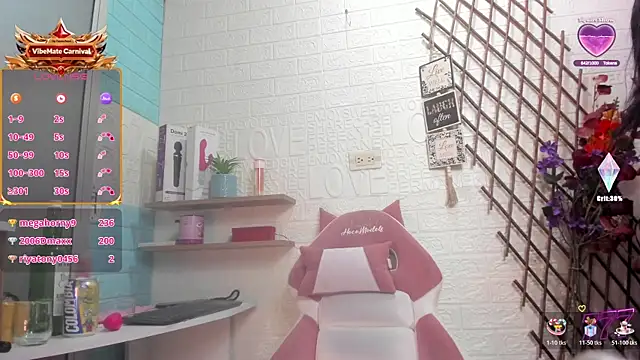 SALOME_KORLAND webcam