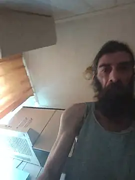 vulpe8400 webcam