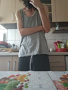 vulpe8400 webcam