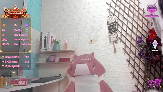 SALOME_KORLAND webcam