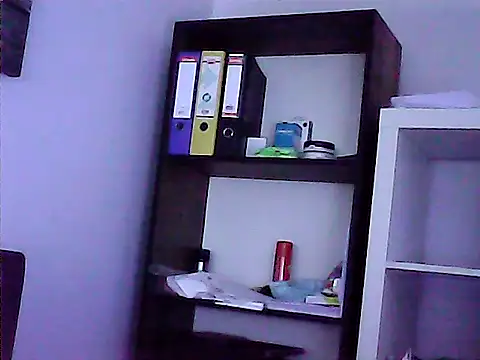 mastercharisma35 webcam
