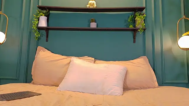 ale_cam webcam
