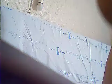 VeneRed webcam