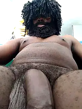 Flexy555 webcam
