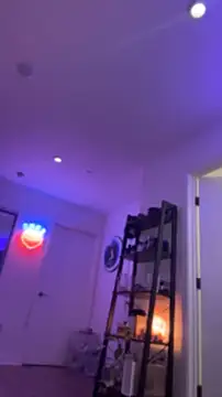 allpawgsgotoheaven webcam