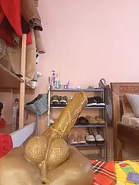 Rilaveta webcam