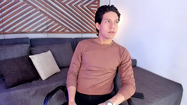 LevinFox webcam