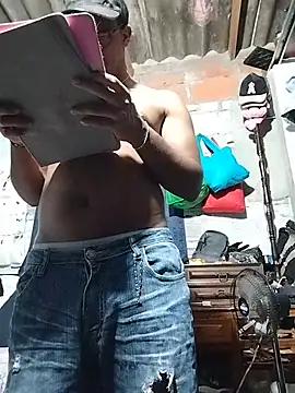 marco_and_luna_ webcam