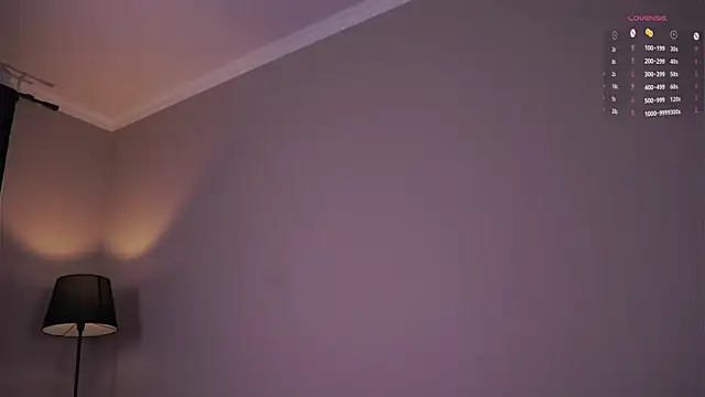 SageWillmott webcam