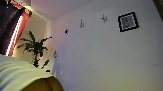 FrancoCross webcam