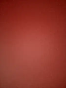 BigAss-Vietnames webcam
