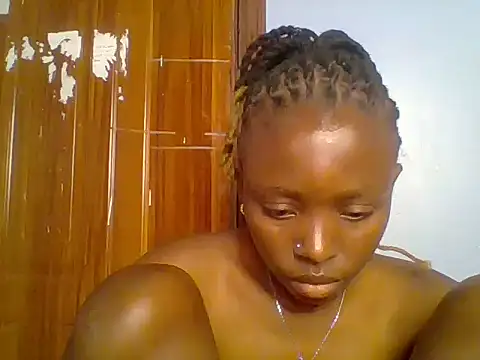 Chocolate-brownie webcam